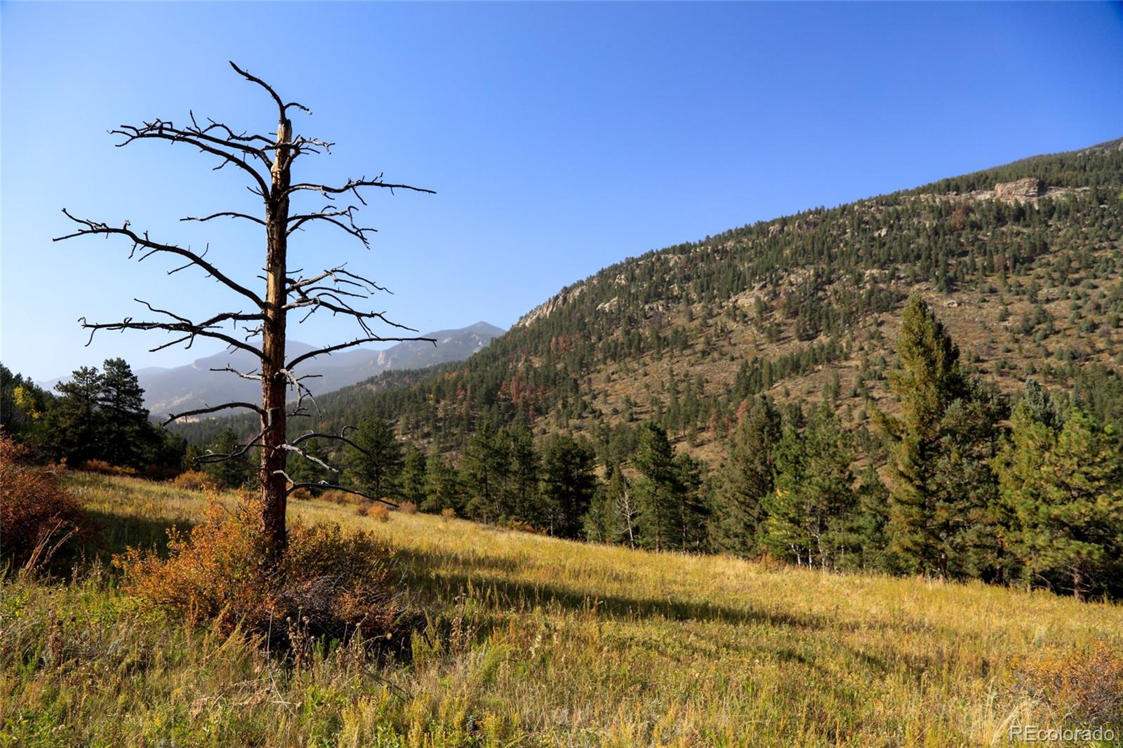 Upper Bear Creek Road Evergreen CO 80439