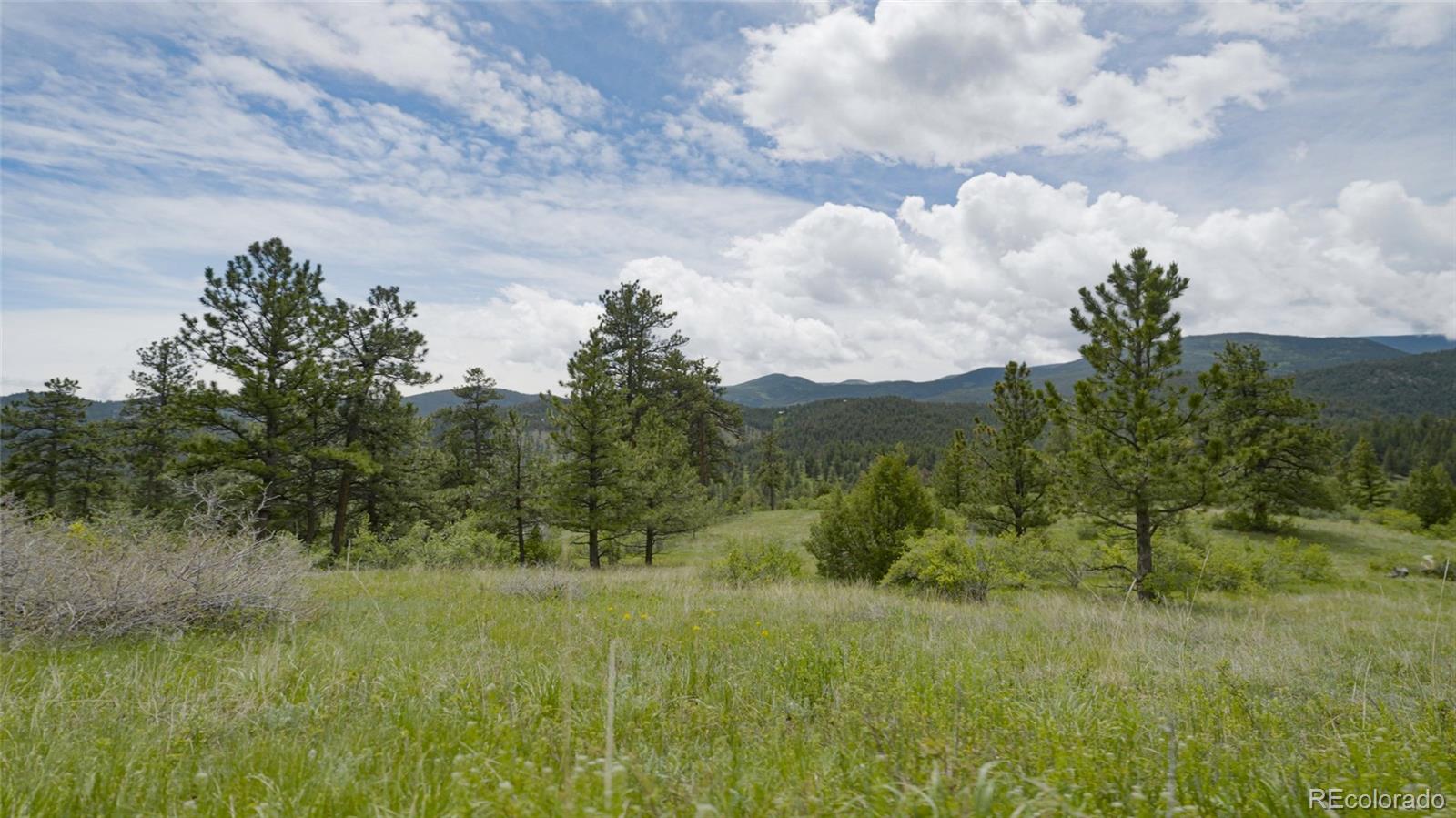 Upper Bear Creek Road Evergreen CO 80439