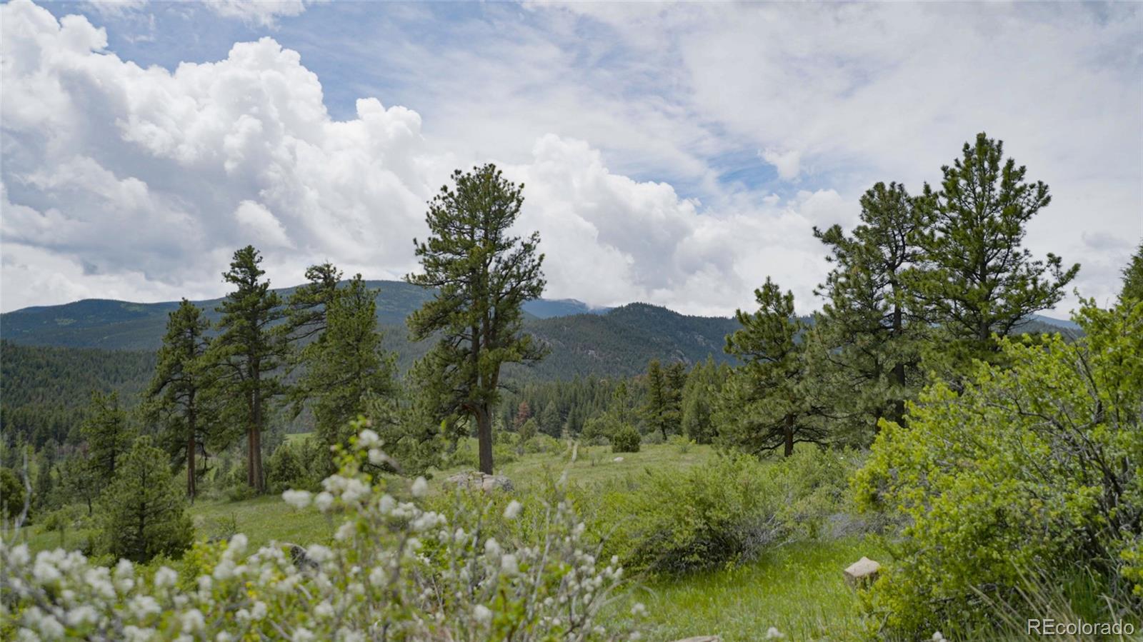 Upper Bear Creek Road Evergreen CO 80439