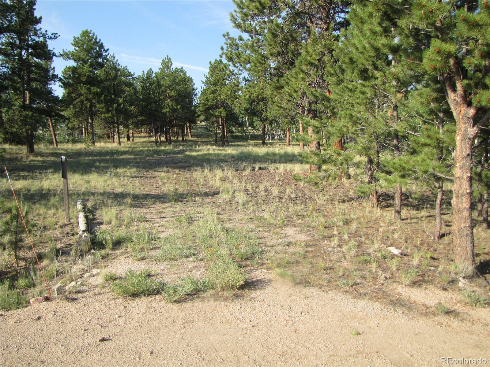 9798 Ranch Road Hartsel CO 80449