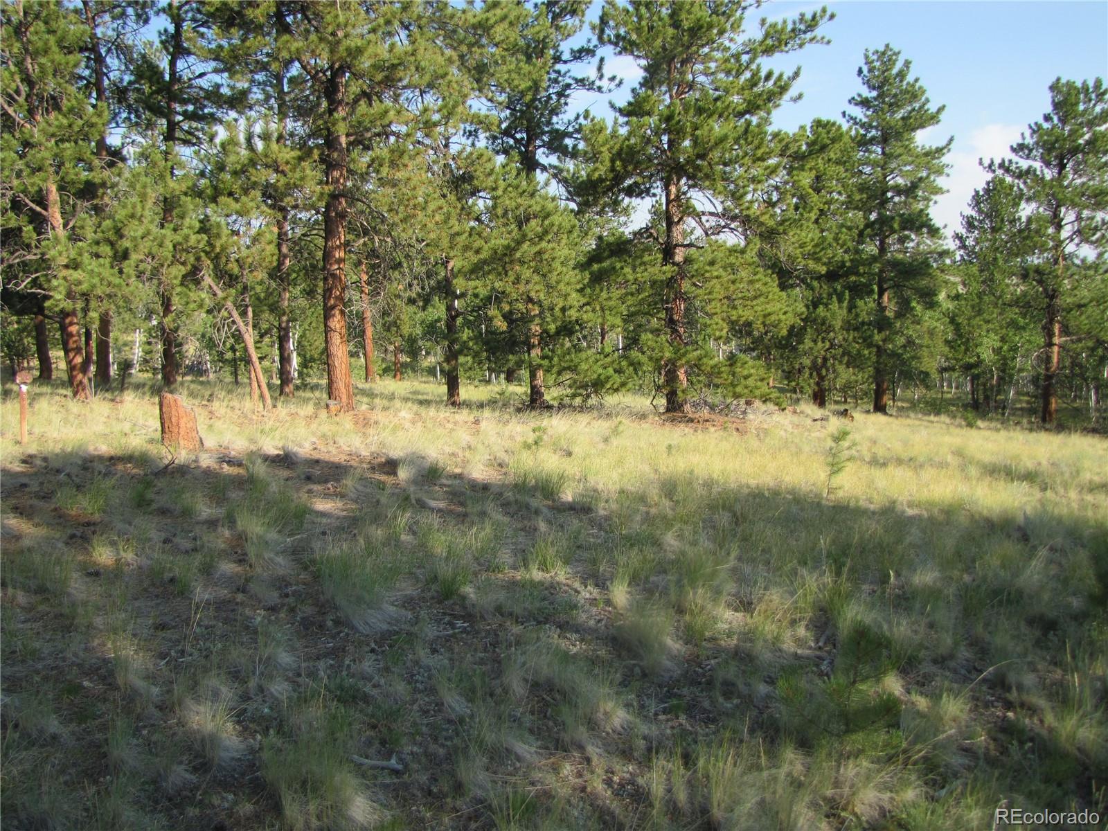 9798 Ranch Road Hartsel CO 80449