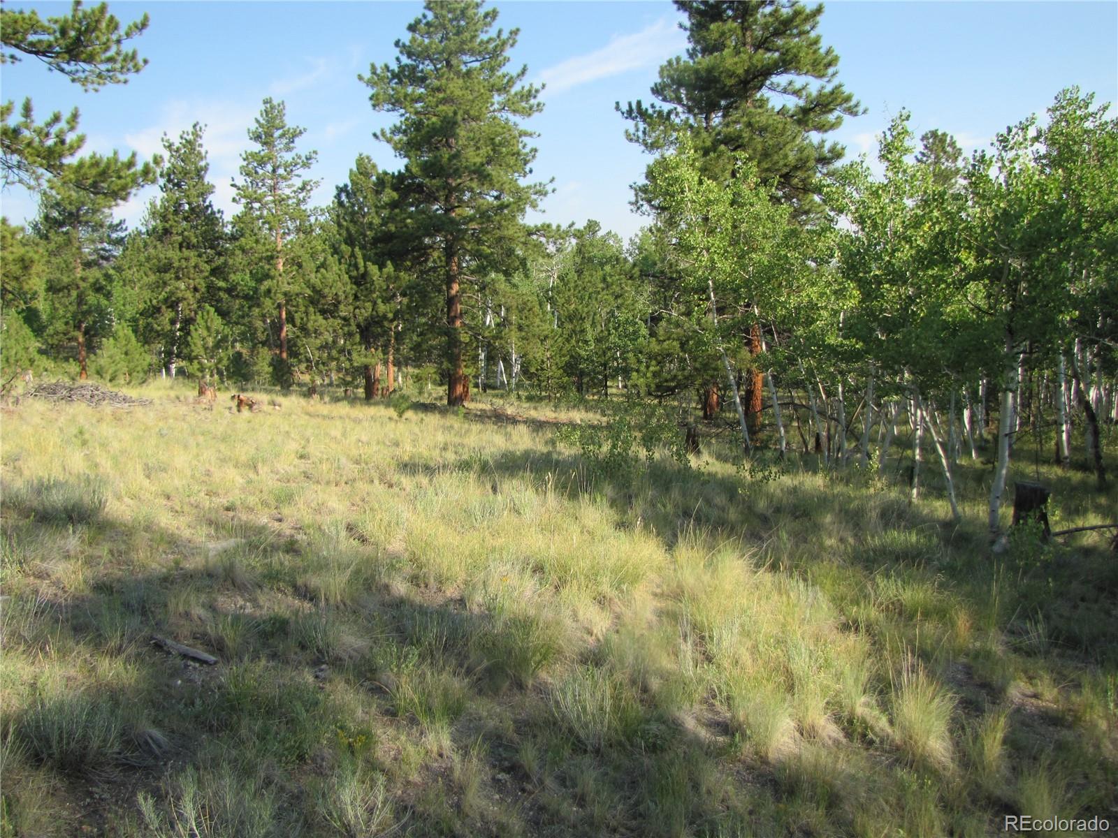 9798 Ranch Road Hartsel CO 80449