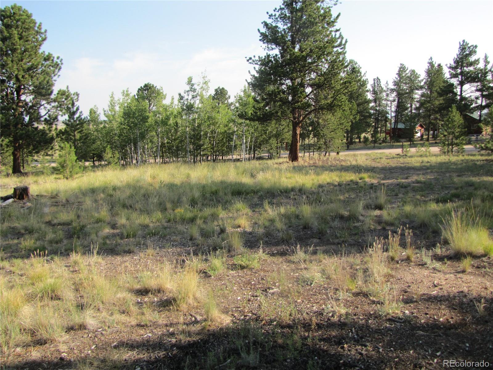 9798 Ranch Road Hartsel CO 80449
