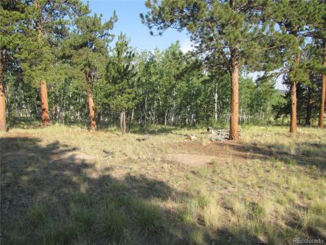 9798 Ranch Road Hartsel CO 80449