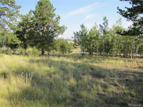 9798 Ranch Road Hartsel CO 80449