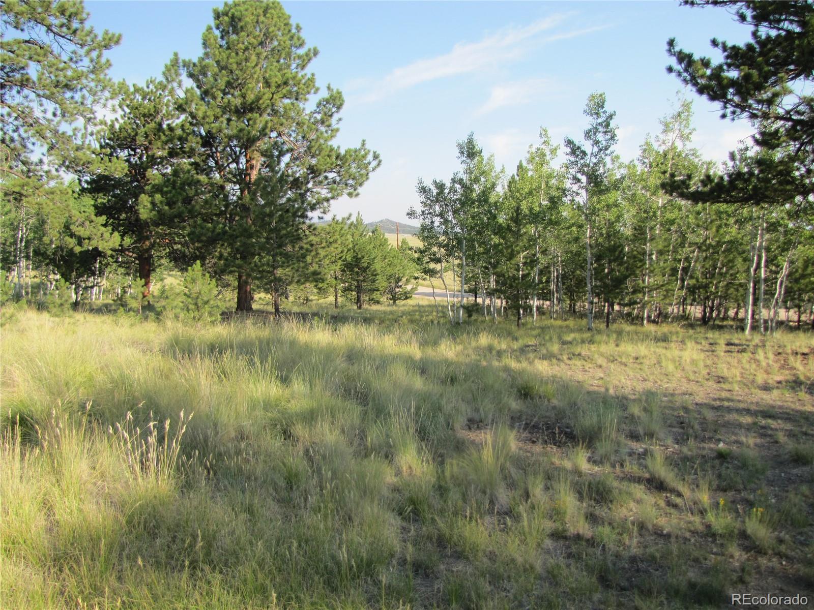9798 Ranch Road Hartsel CO 80449