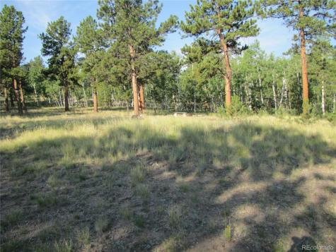 9798 Ranch Road Hartsel CO 80449