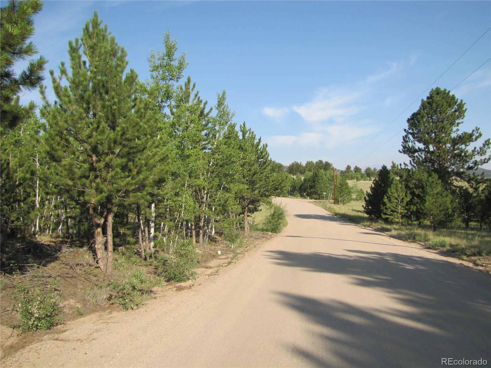 9798 Ranch Road Hartsel CO 80449