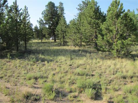 9798 Ranch Road Hartsel CO 80449