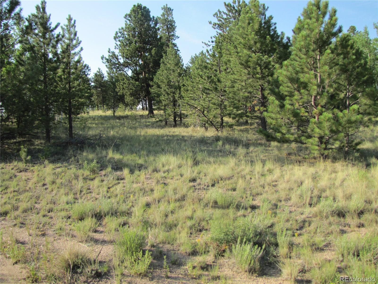 9798 Ranch Road Hartsel CO 80449