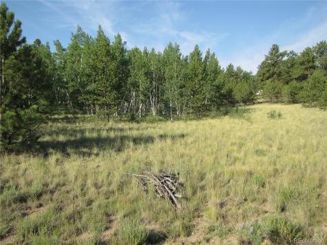 9798 Ranch Road Hartsel CO 80449