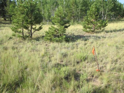 9798 Ranch Road Hartsel CO 80449