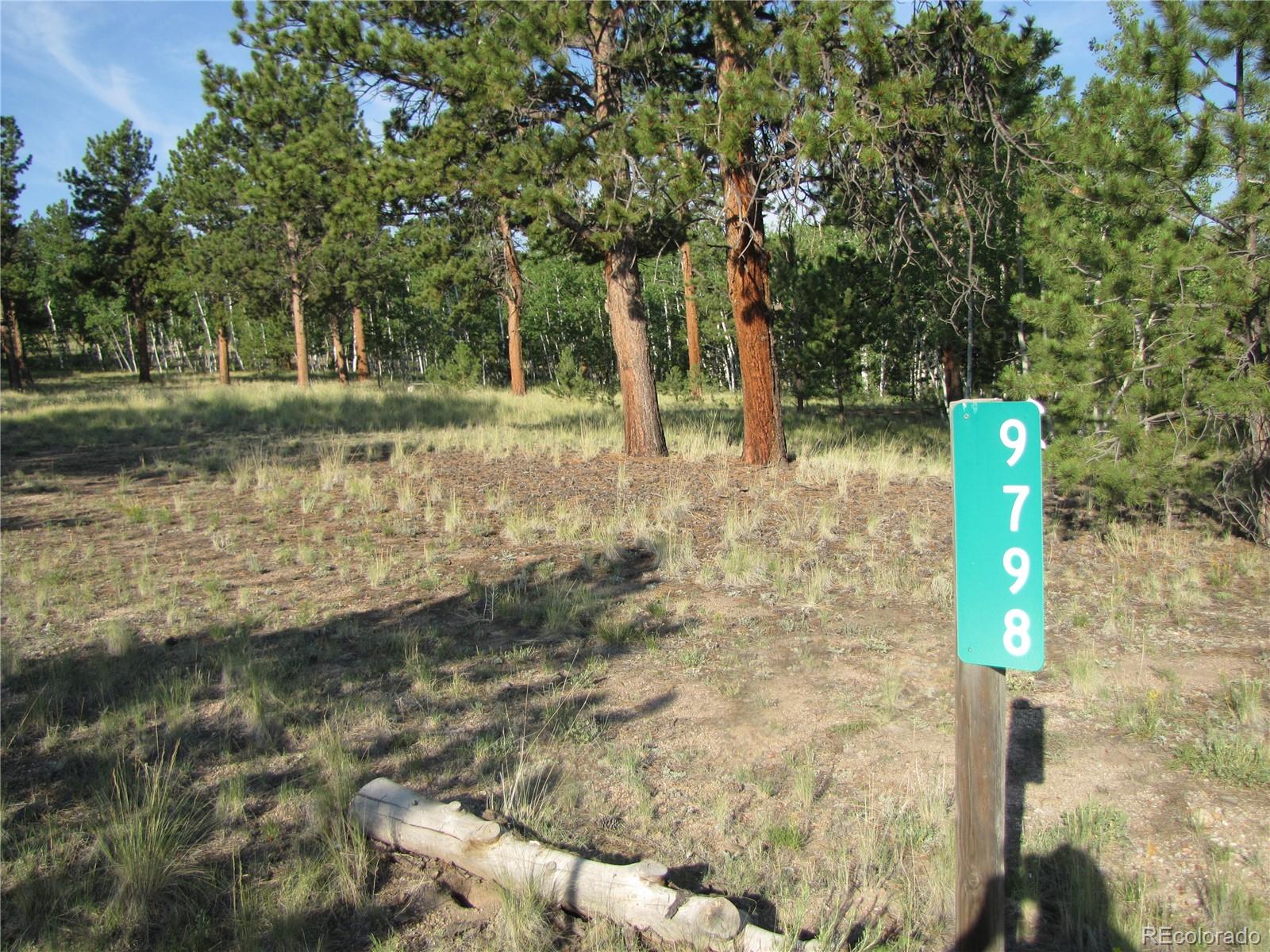 9798 Ranch Road Hartsel CO 80449