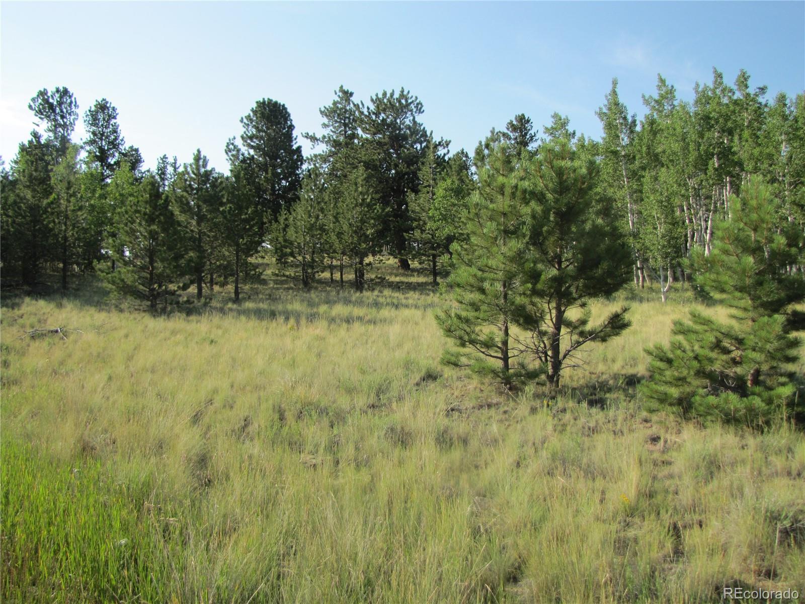 9798 Ranch Road Hartsel CO 80449