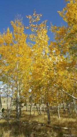 9798 Ranch Road Hartsel CO 80449