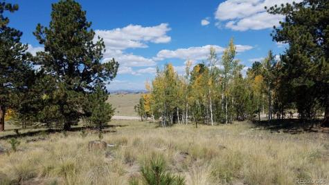 9798 Ranch Road Hartsel CO 80449