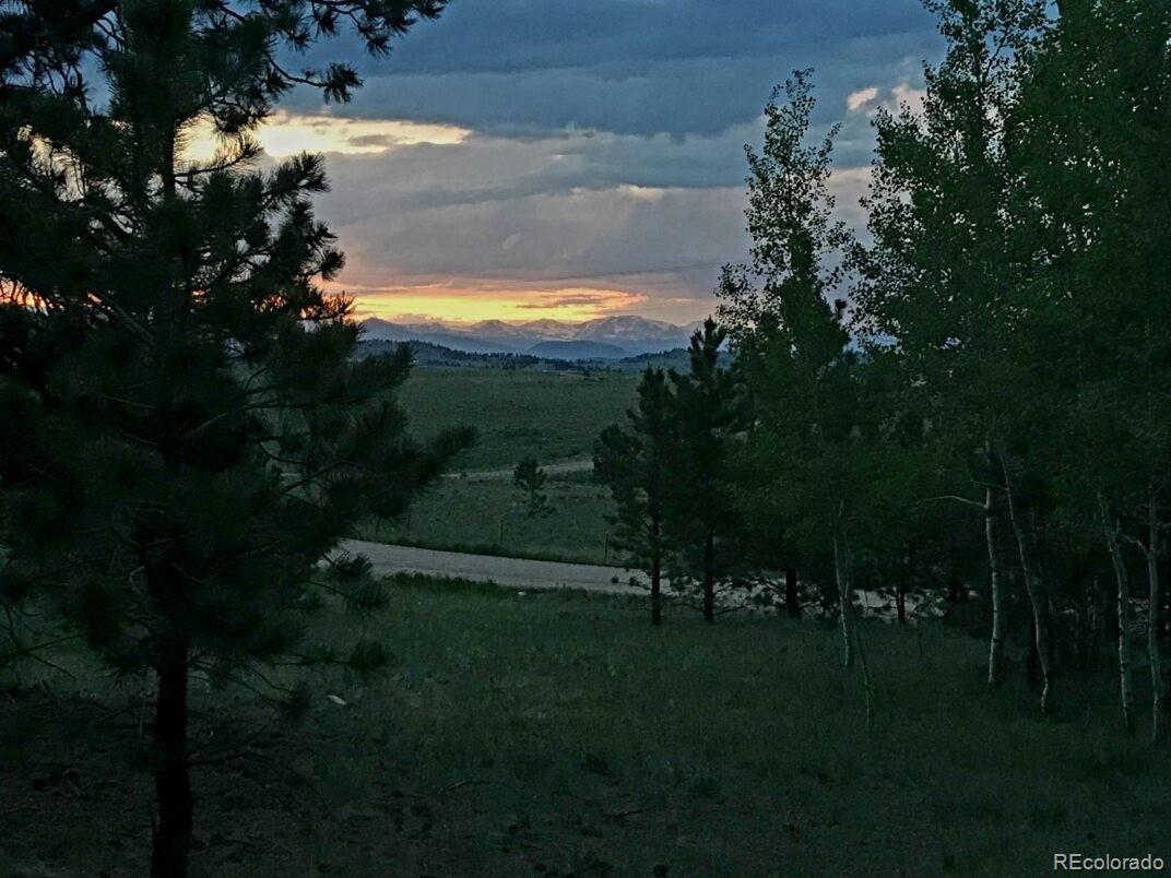 9798 Ranch Road Hartsel CO 80449