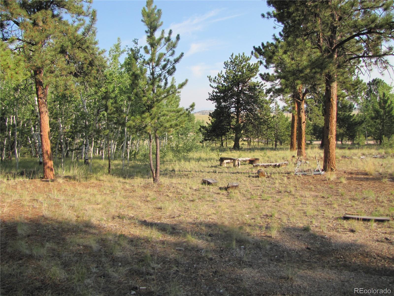 9798 Ranch Road Hartsel CO 80449