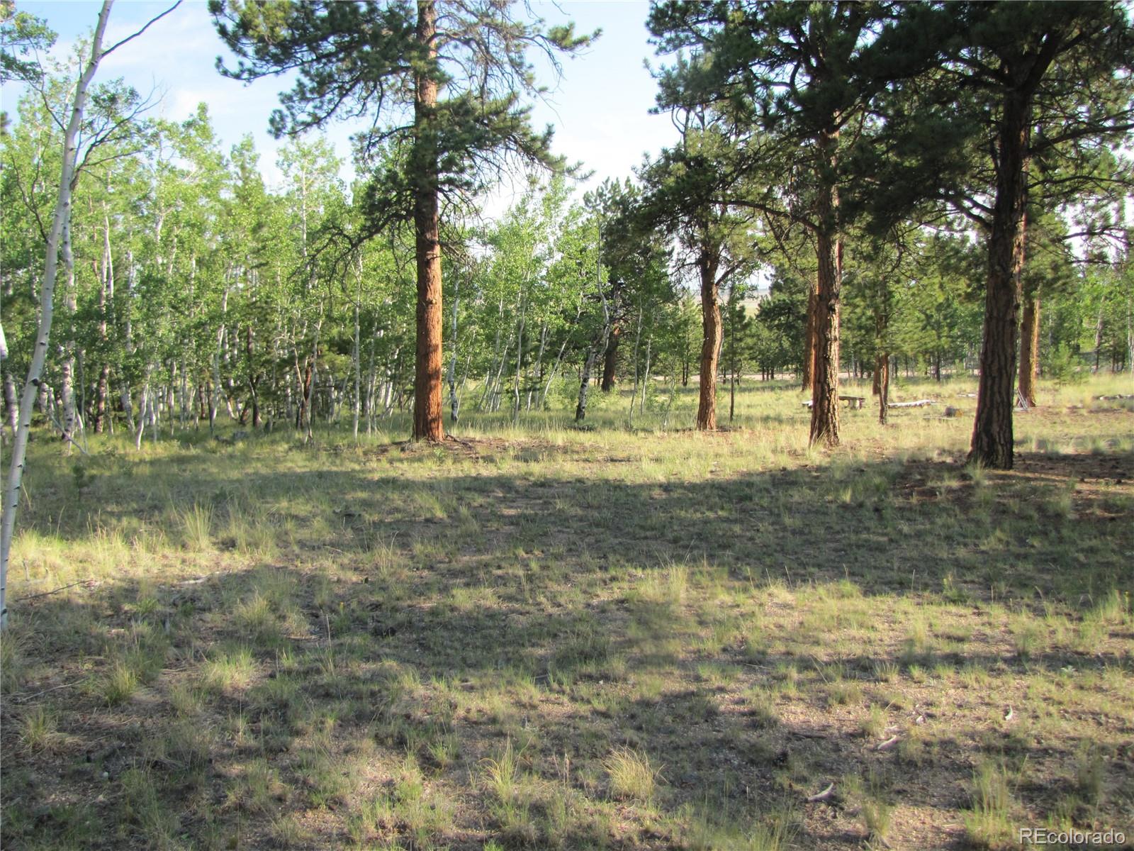 9798 Ranch Road Hartsel CO 80449