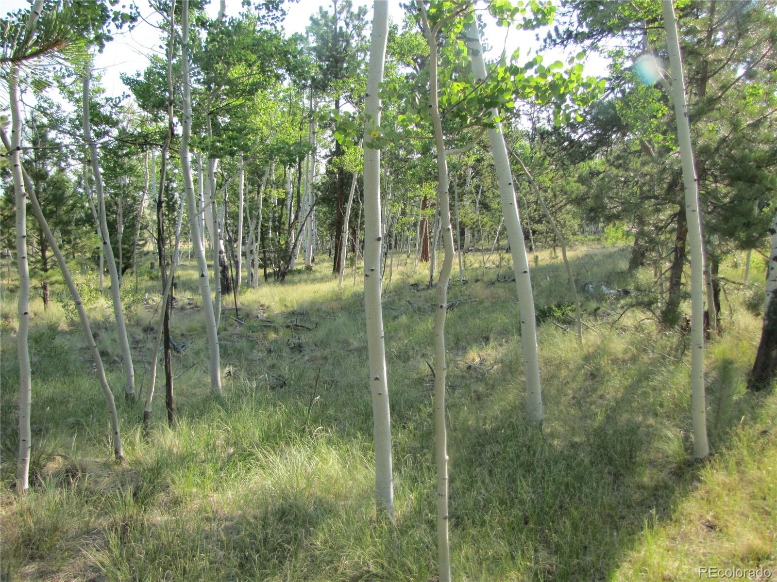 9798 Ranch Road Hartsel CO 80449