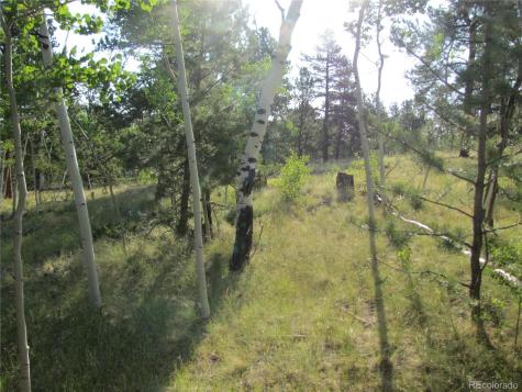 9798 Ranch Road Hartsel CO 80449