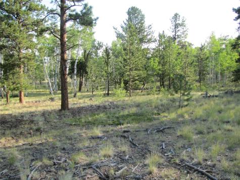 9798 Ranch Road Hartsel CO 80449