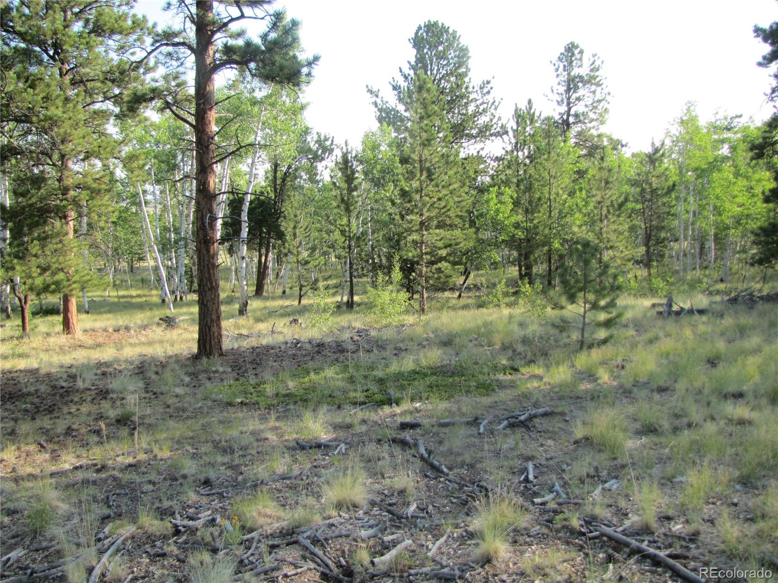9798 Ranch Road Hartsel CO 80449