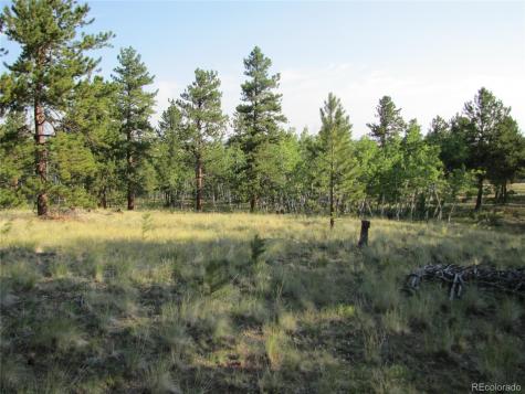 9798 Ranch Road Hartsel CO 80449