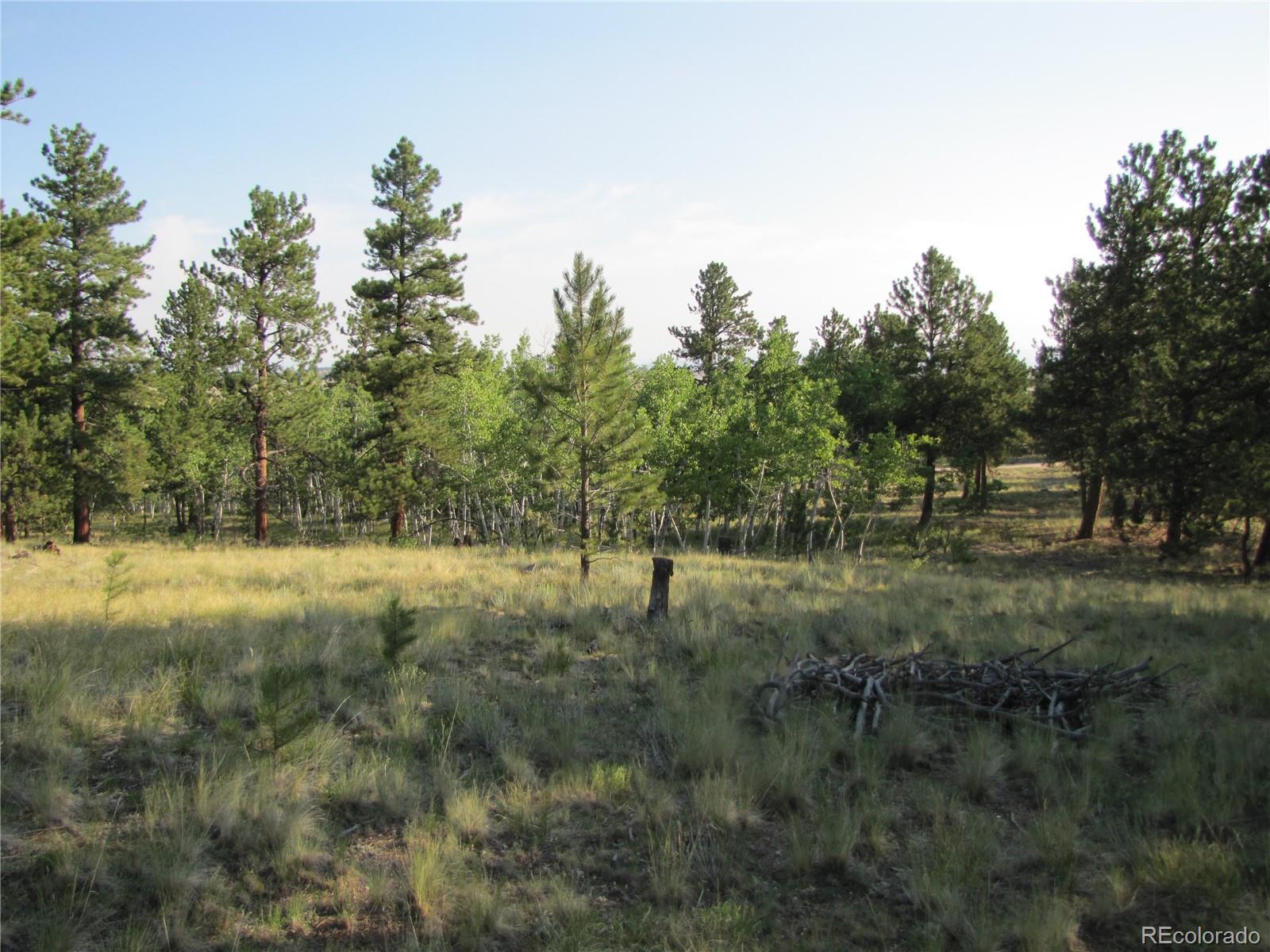 9798 Ranch Road Hartsel CO 80449