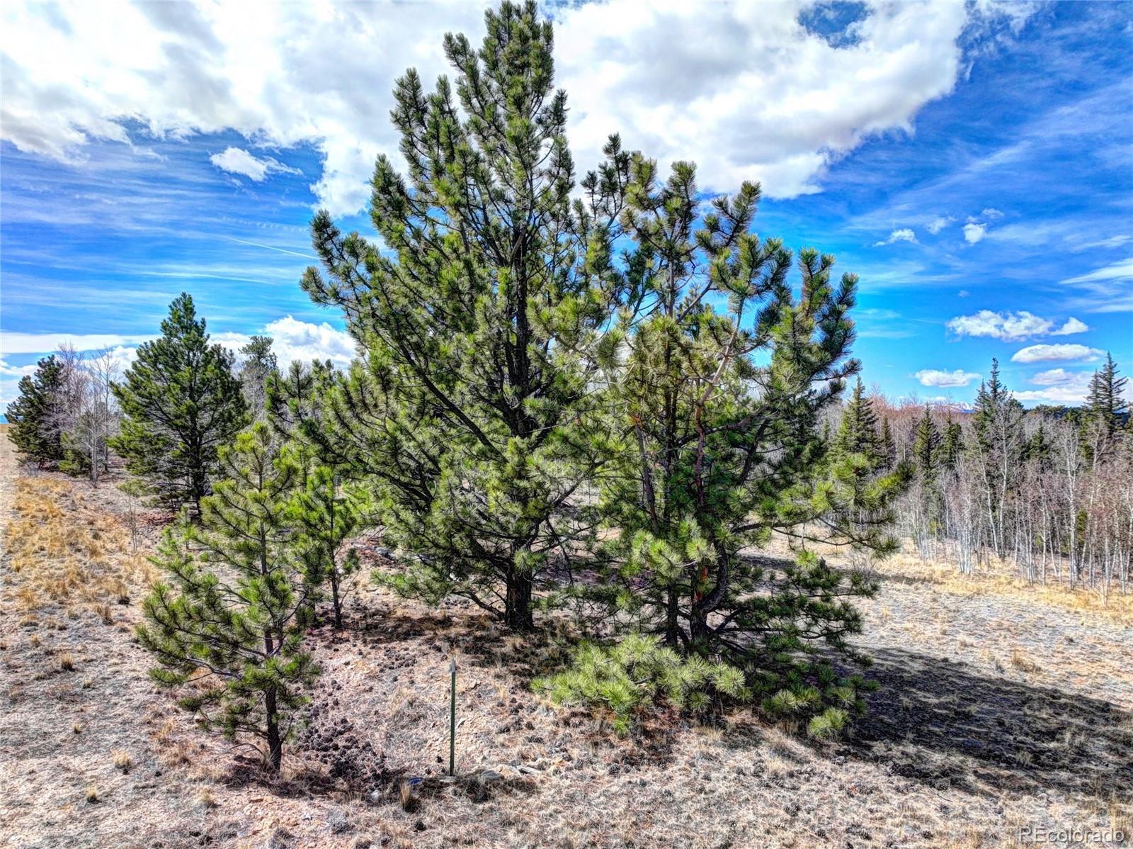 101 Patch Court Como CO 80432