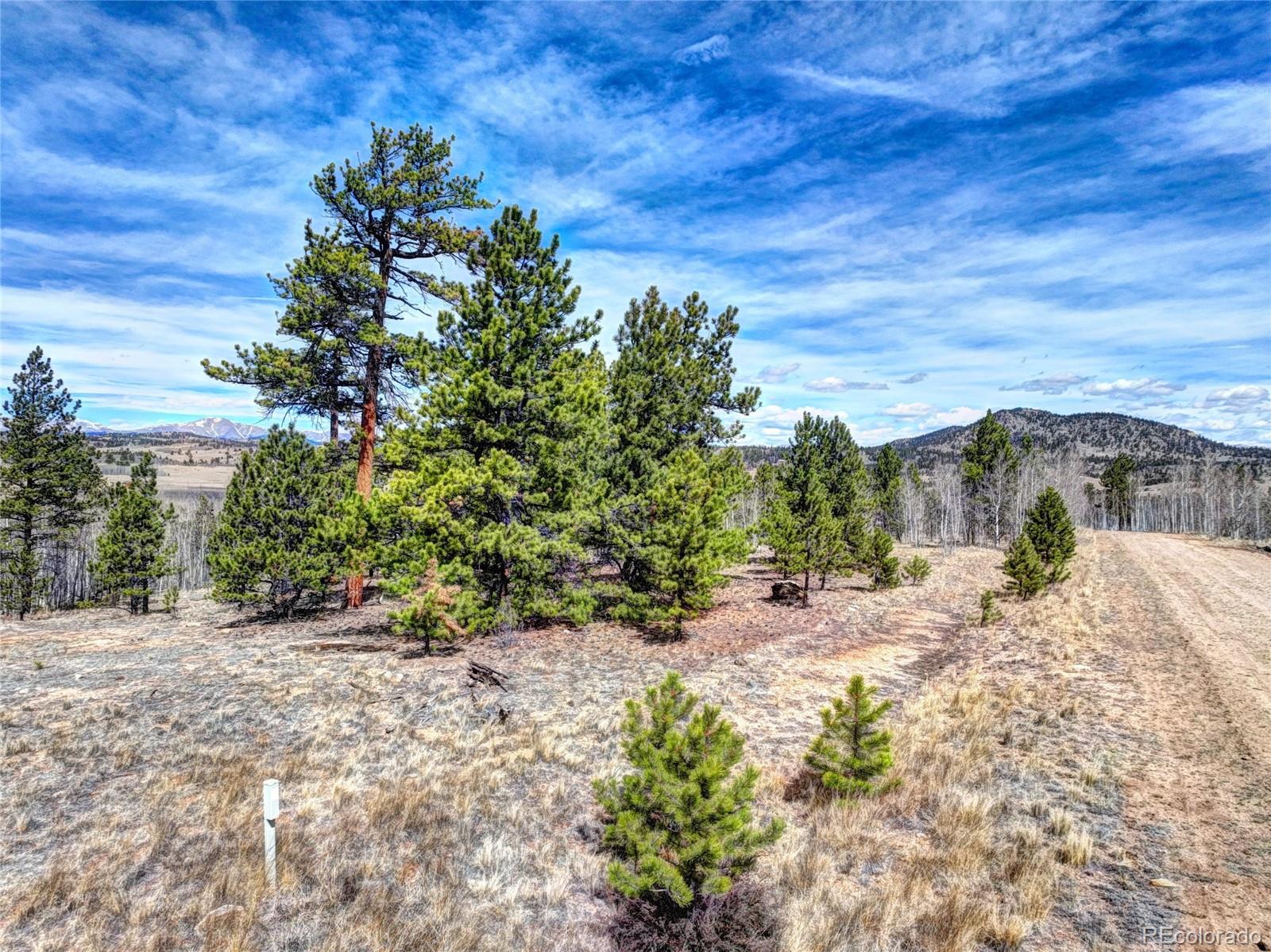 101 Patch Court Como CO 80432