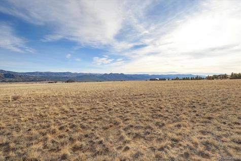 31203 Northwoods Circle Buena Vista CO 81211