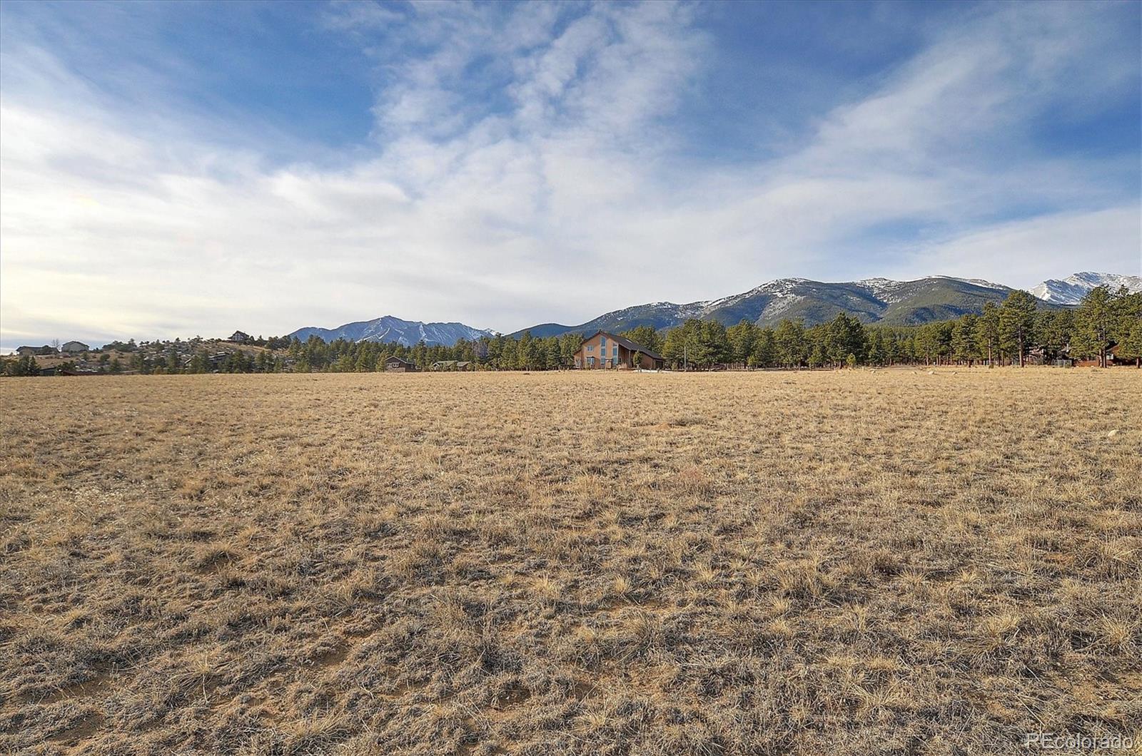 31203 Northwoods Circle Buena Vista CO 81211