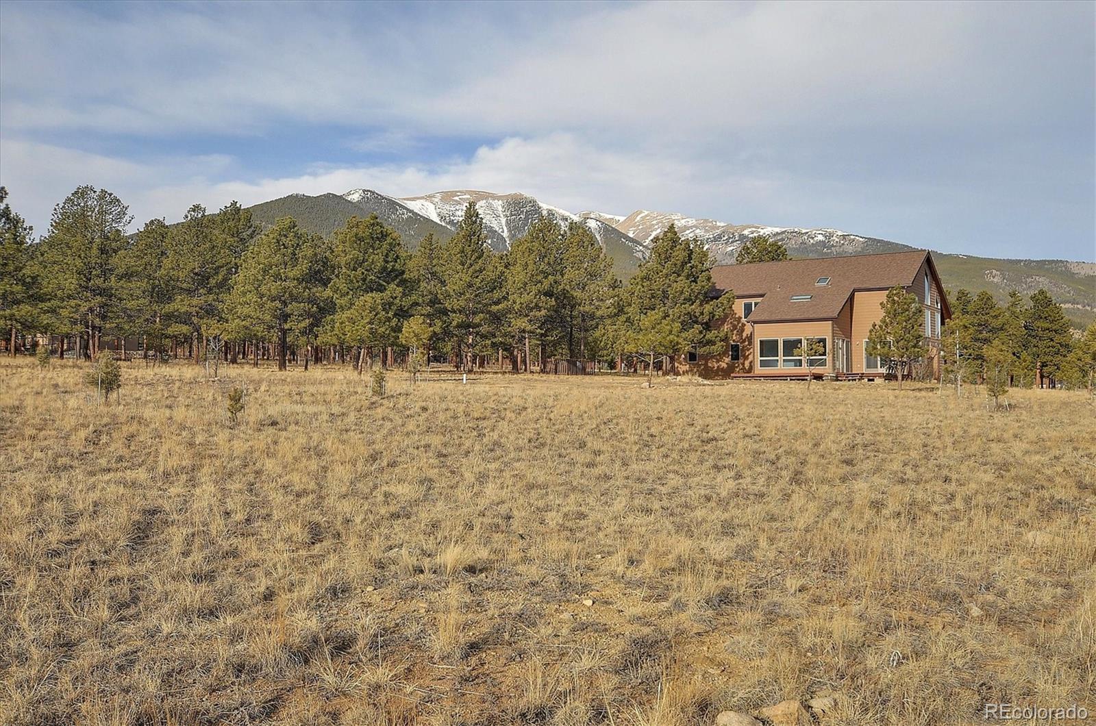 31203 Northwoods Circle Buena Vista CO 81211