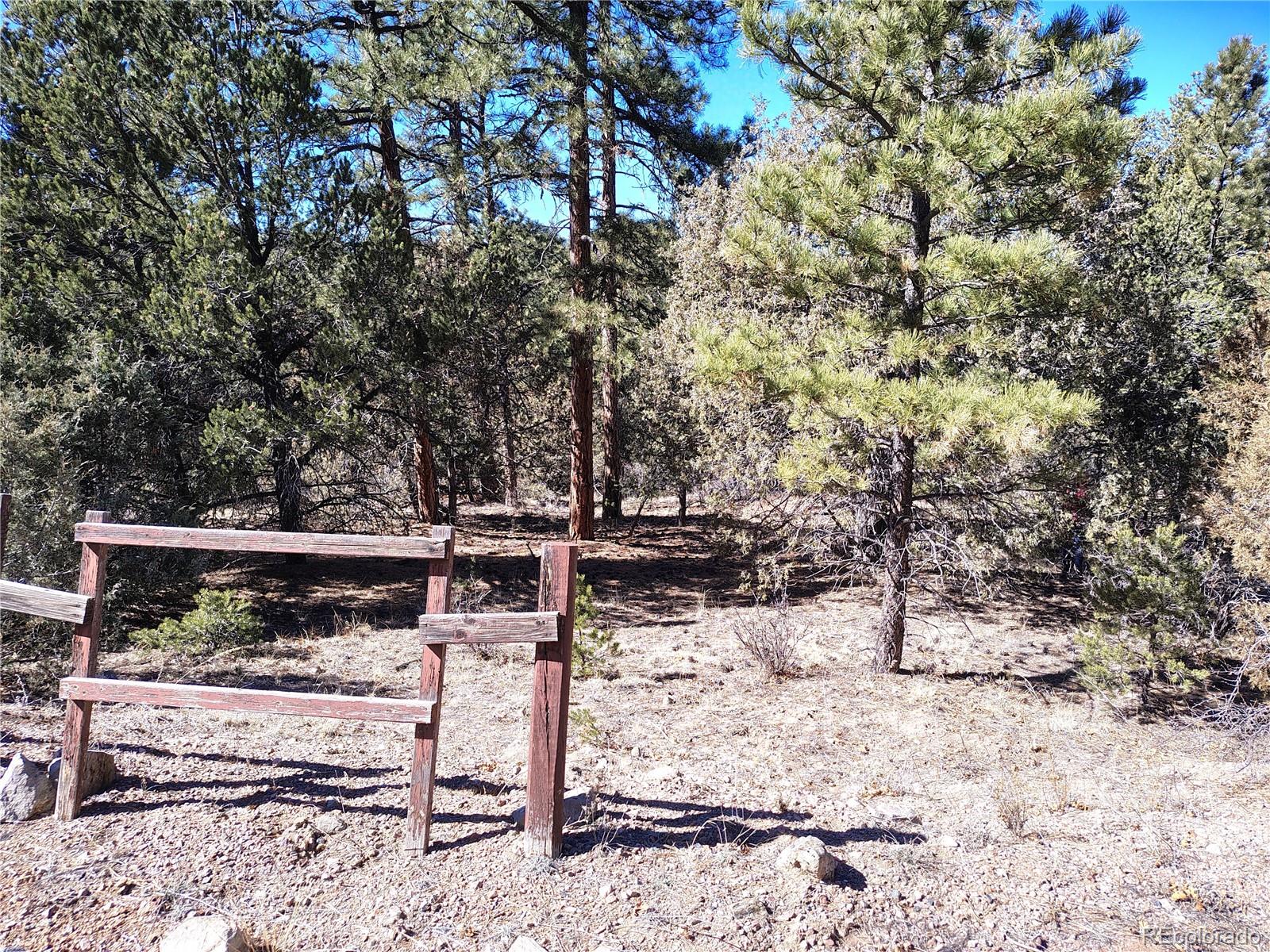 265 Alden Lane Cotopaxi CO 81223