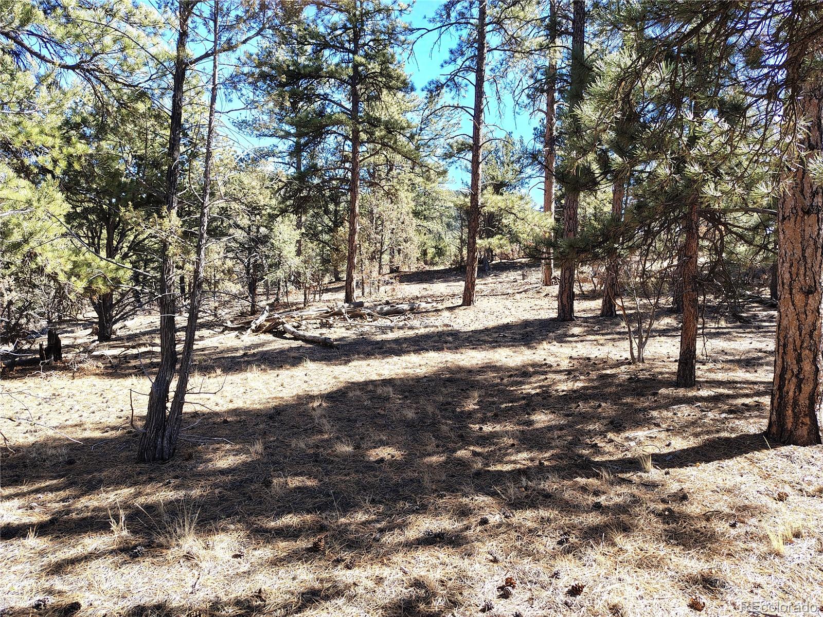 265 Alden Lane Cotopaxi CO 81223