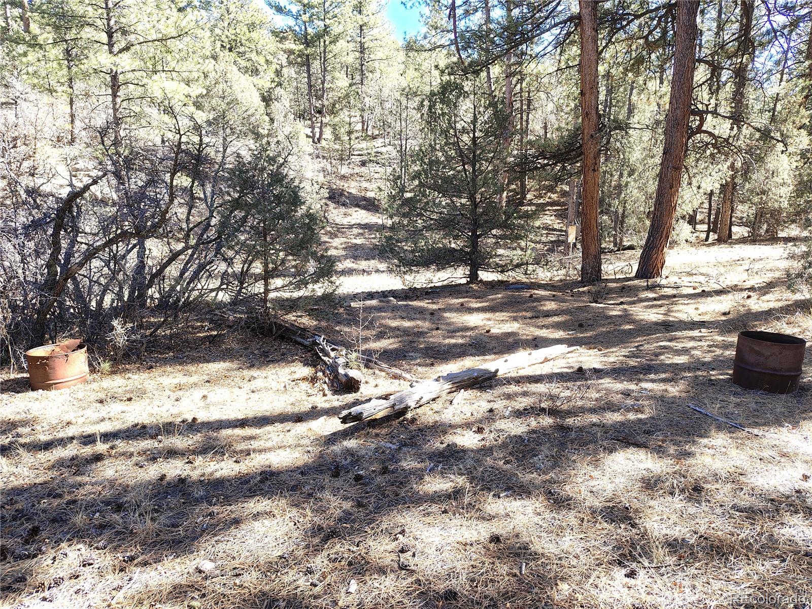 265 Alden Lane Cotopaxi CO 81223