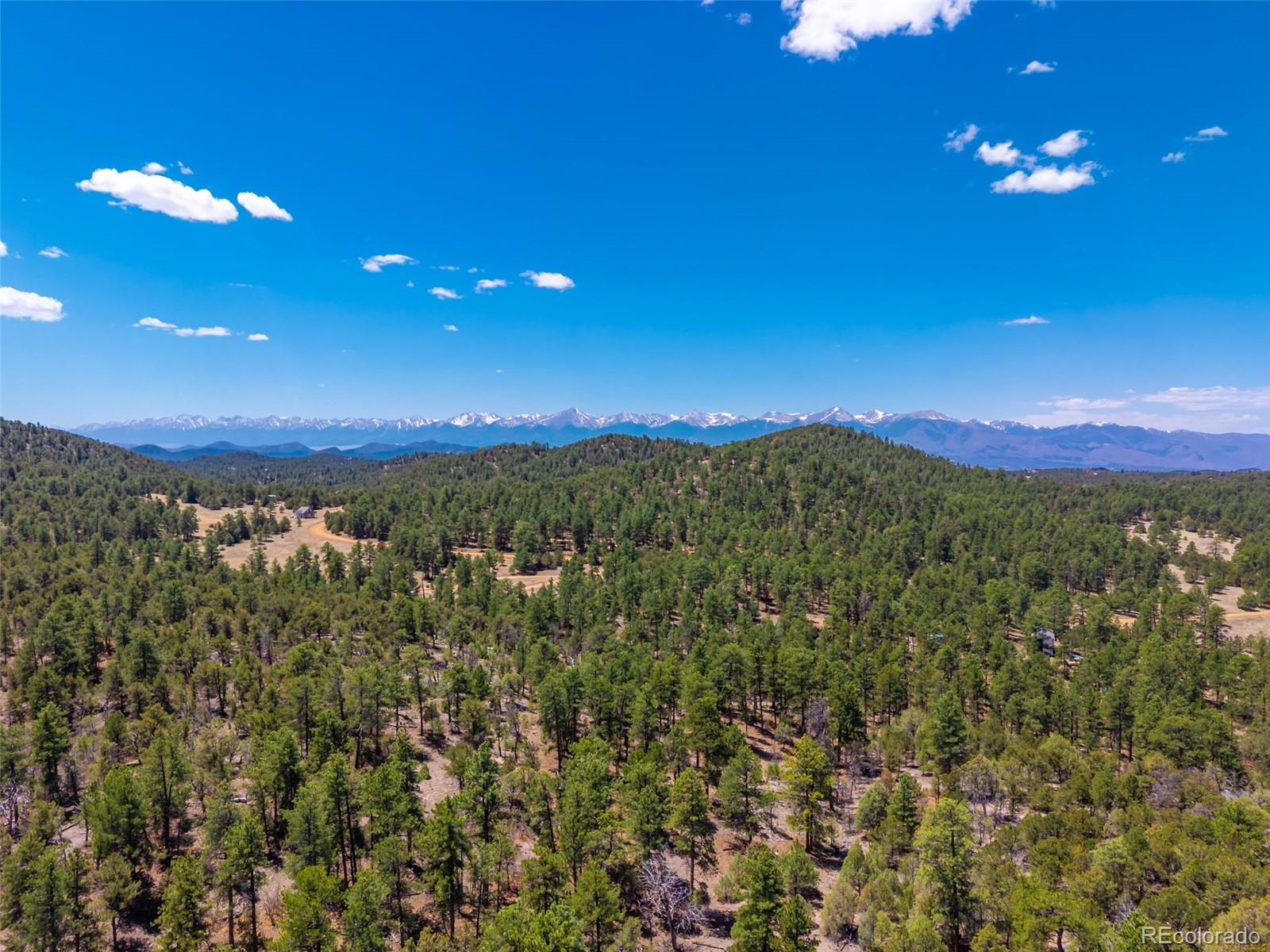 265 Alden Lane Cotopaxi CO 81223