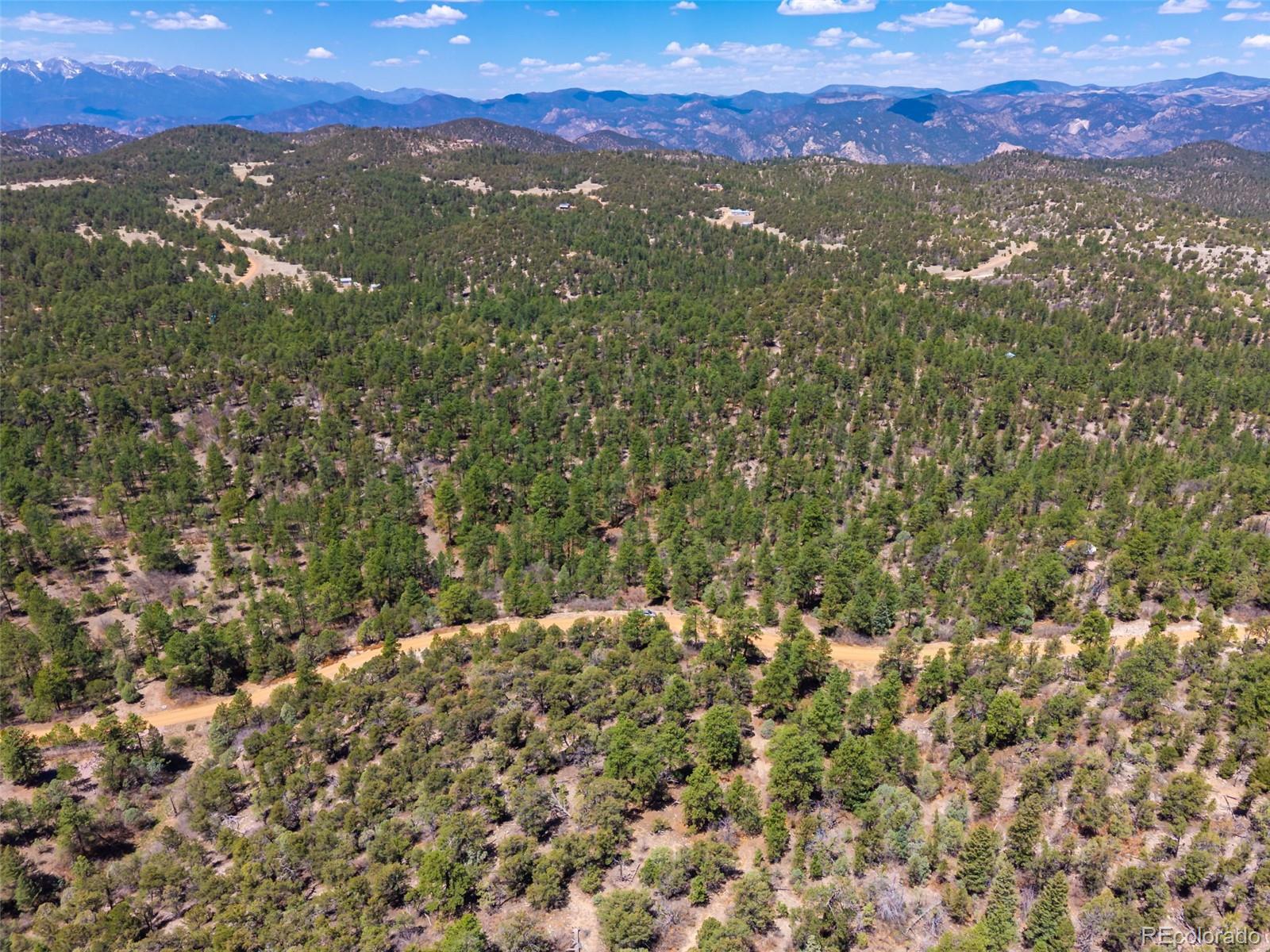 265 Alden Lane Cotopaxi CO 81223