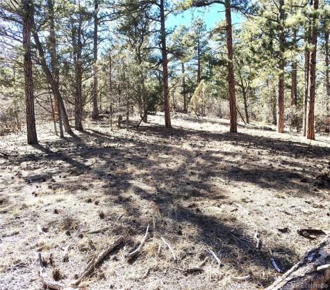 265 Alden Lane Cotopaxi CO 81223