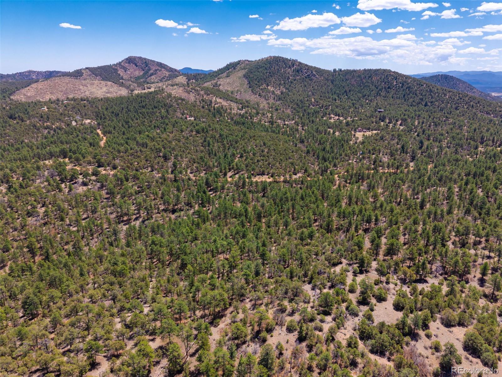 265 Alden Lane Cotopaxi CO 81223