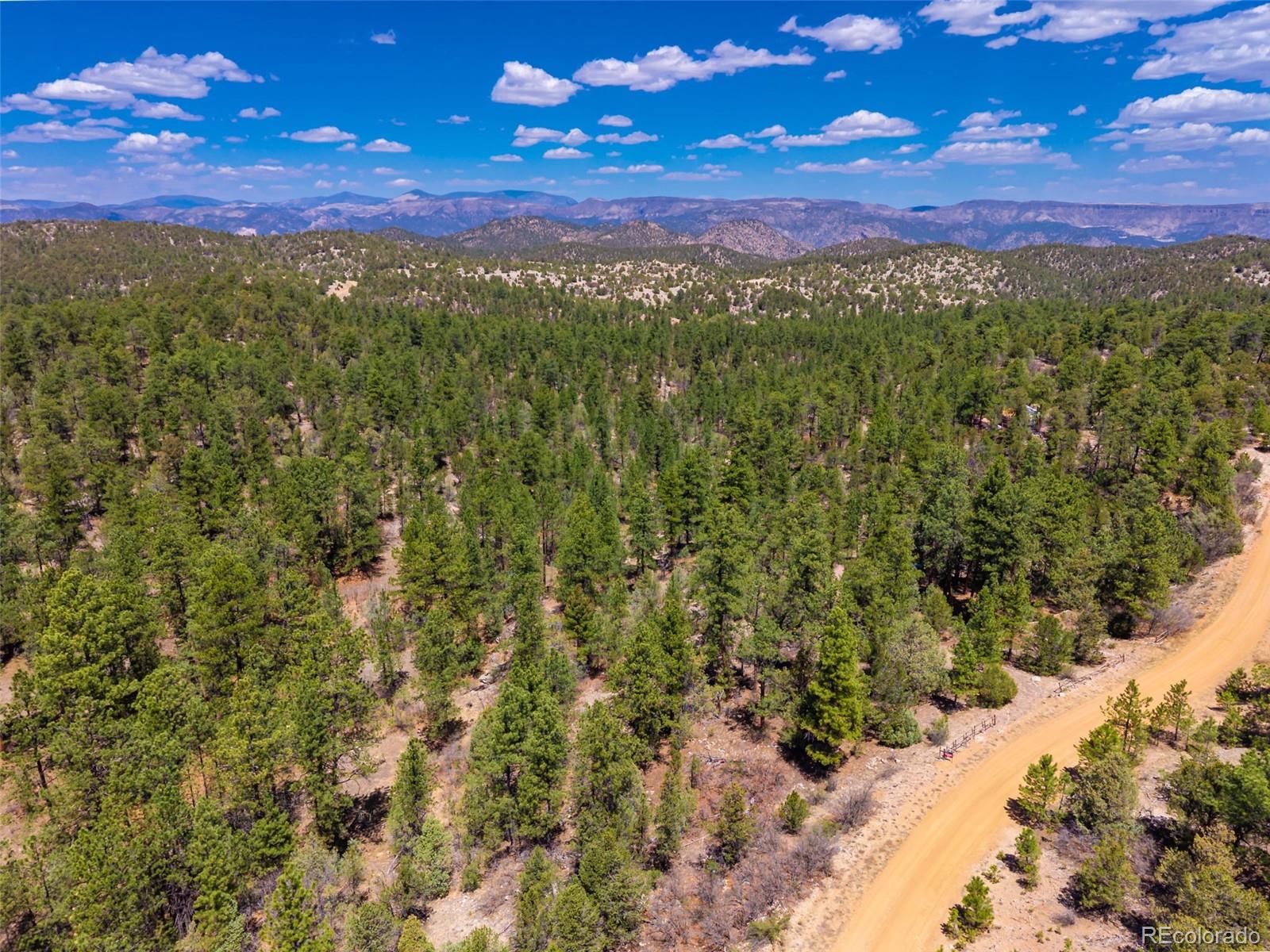 265 Alden Lane Cotopaxi CO 81223