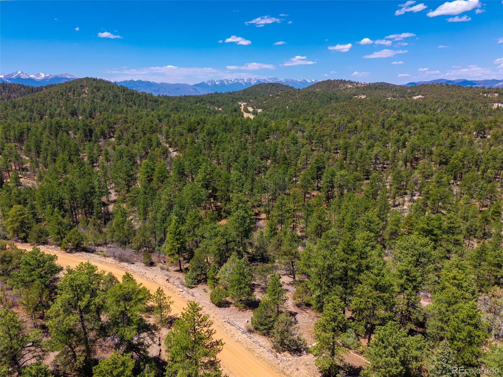265 Alden Lane Cotopaxi CO 81223