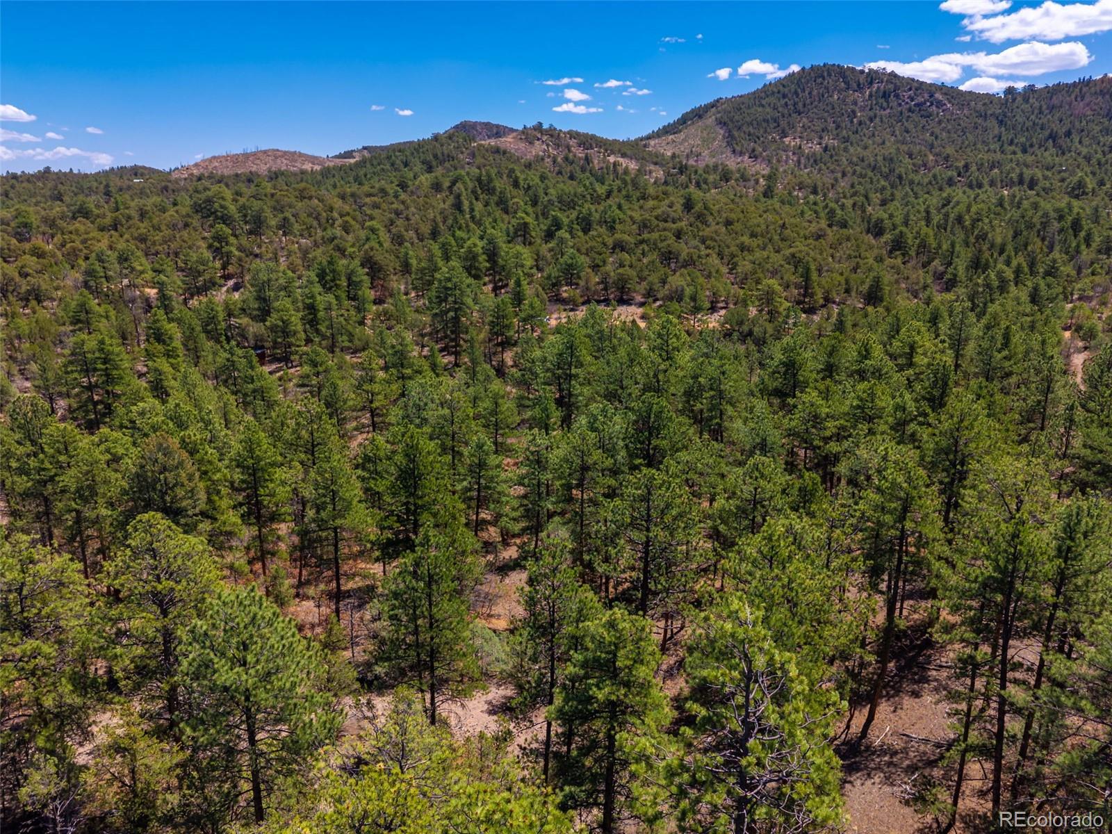 265 Alden Lane Cotopaxi CO 81223