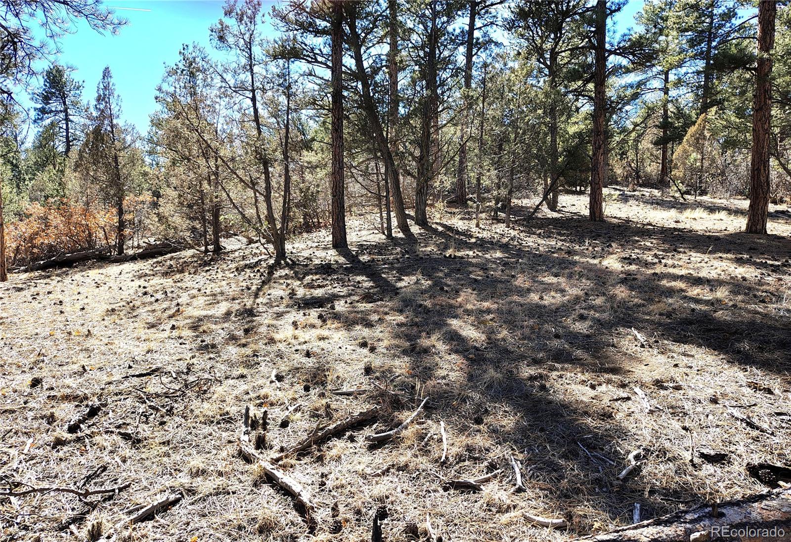265 Alden Lane Cotopaxi CO 81223