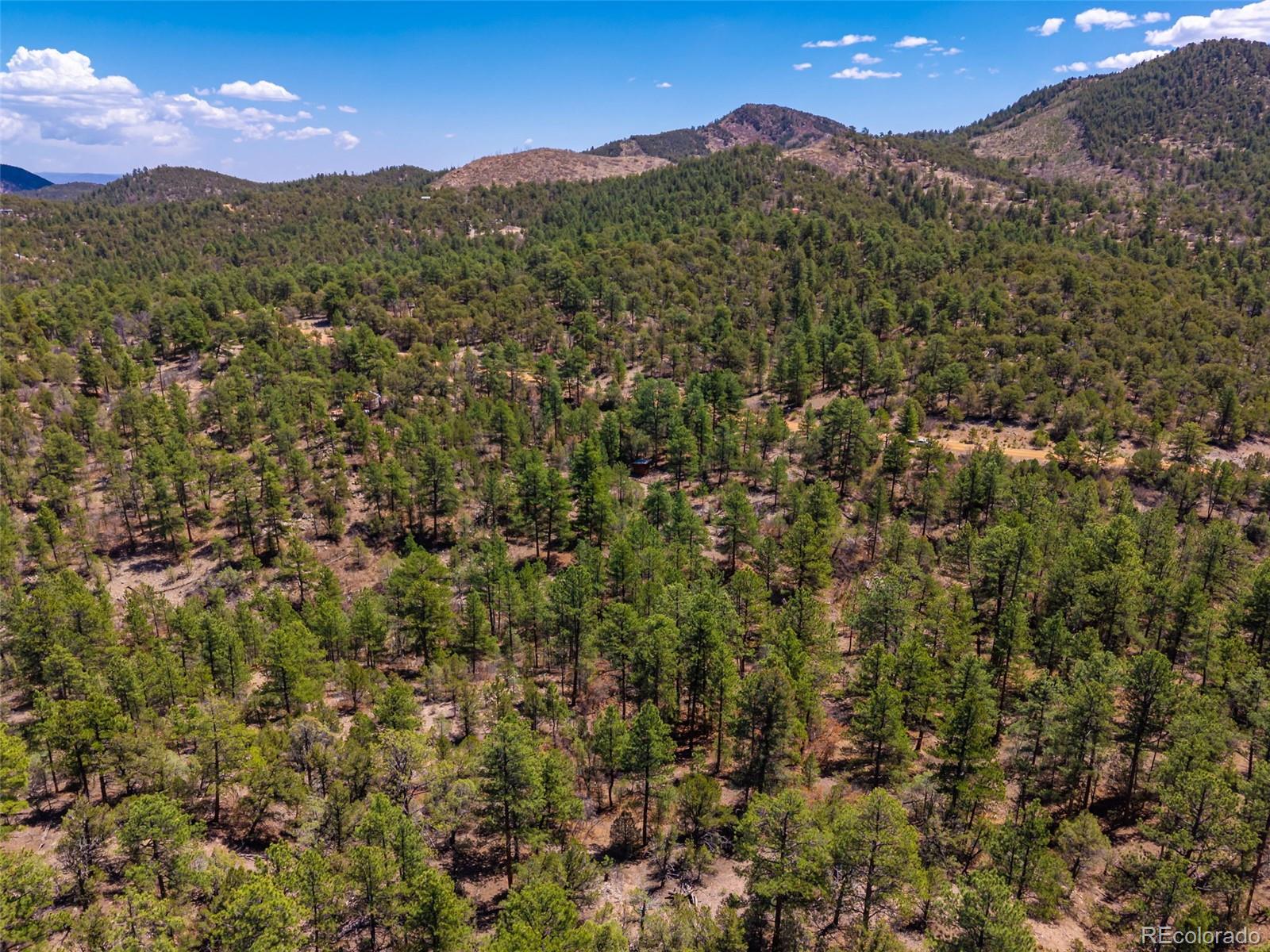265 Alden Lane Cotopaxi CO 81223