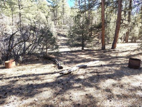265 Alden Lane Cotopaxi CO 81223