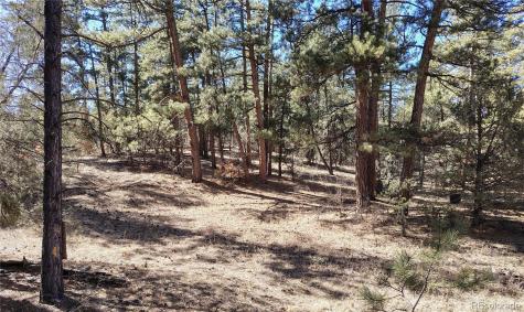 265 Alden Lane Cotopaxi CO 81223