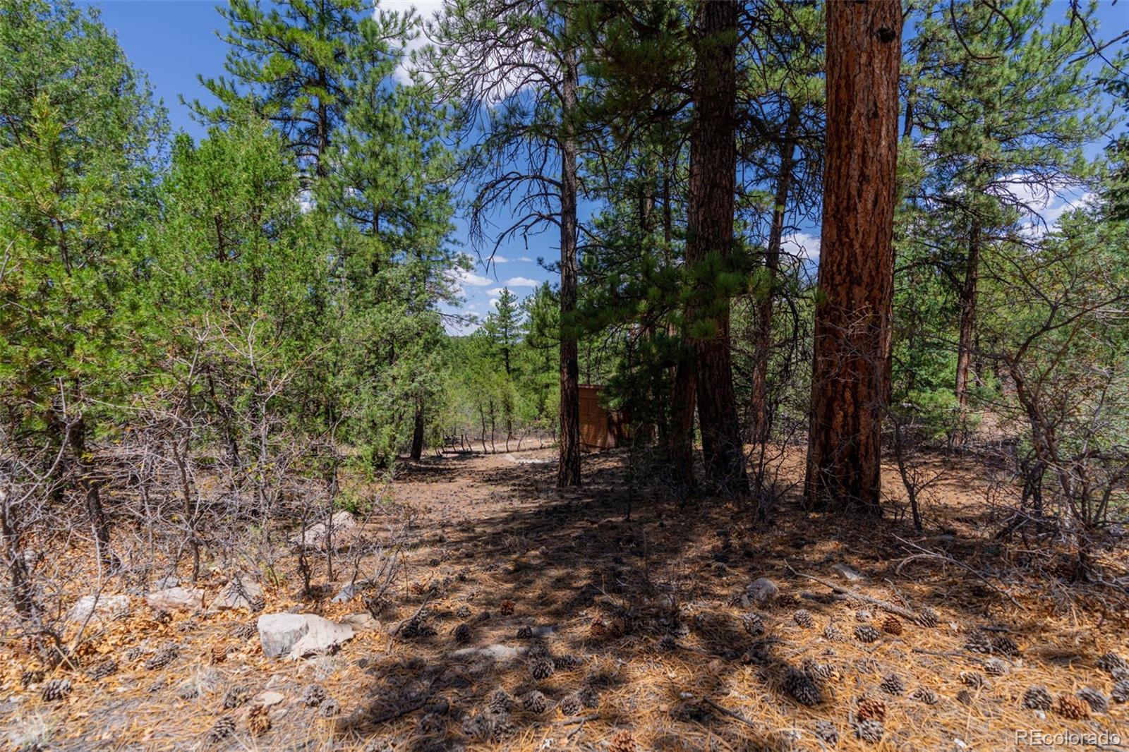 265 Alden Lane Cotopaxi CO 81223