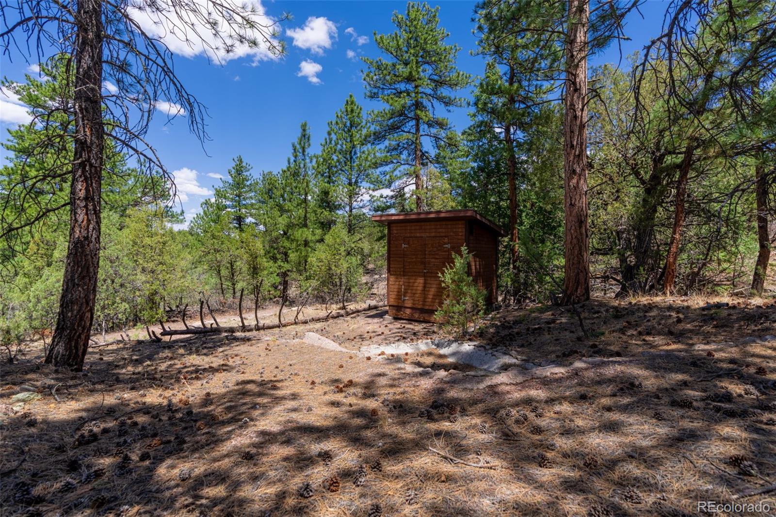265 Alden Lane Cotopaxi CO 81223